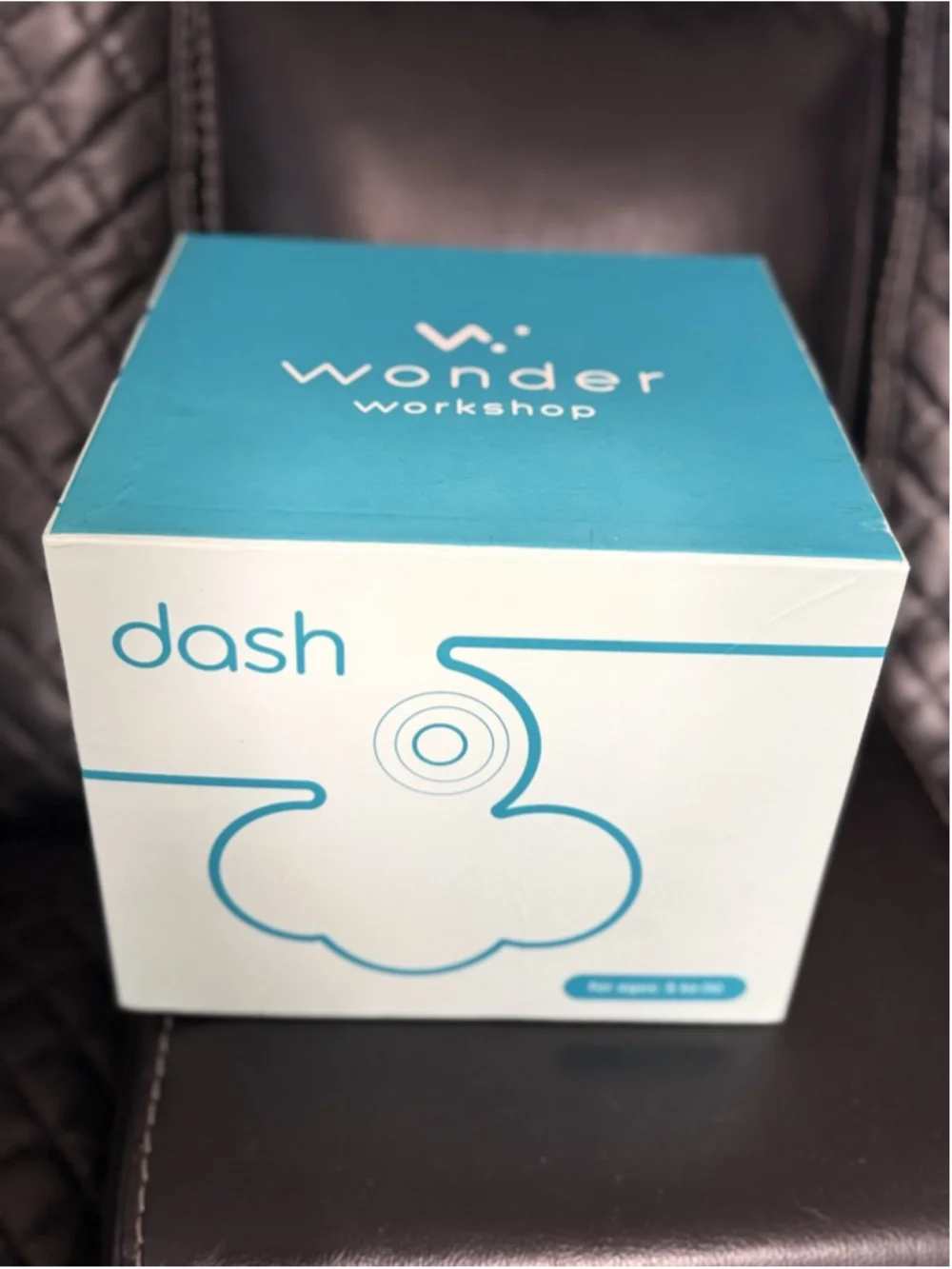 Wonder Workshop Dash DA01 And Dot Robots DO01
